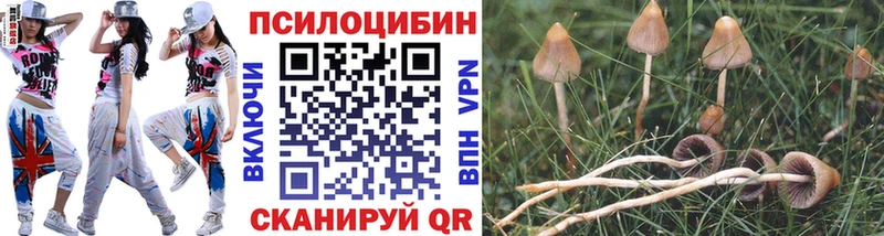 Галлюциногенные грибы ЛСД  Купить  Агидель 