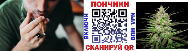 Купить где  Агидель  Бошки Шишки план 